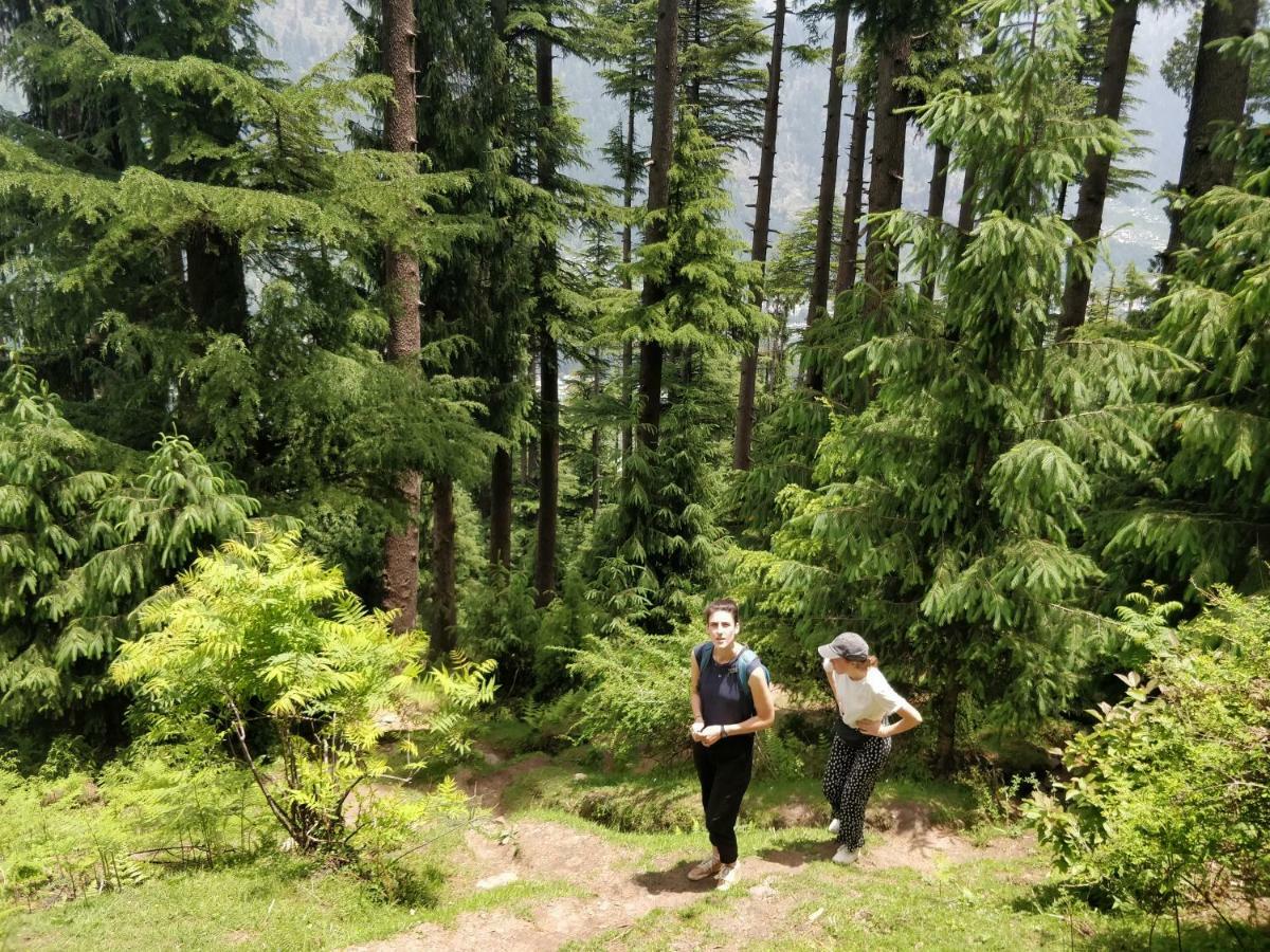Madpackers Manali Hostel Bagian luar foto